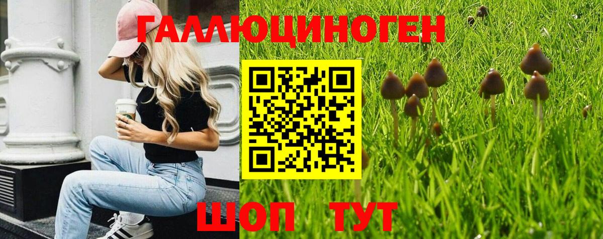Нефтекумск  Псилоцибиновые грибы мицелий  Вход с VPN 
