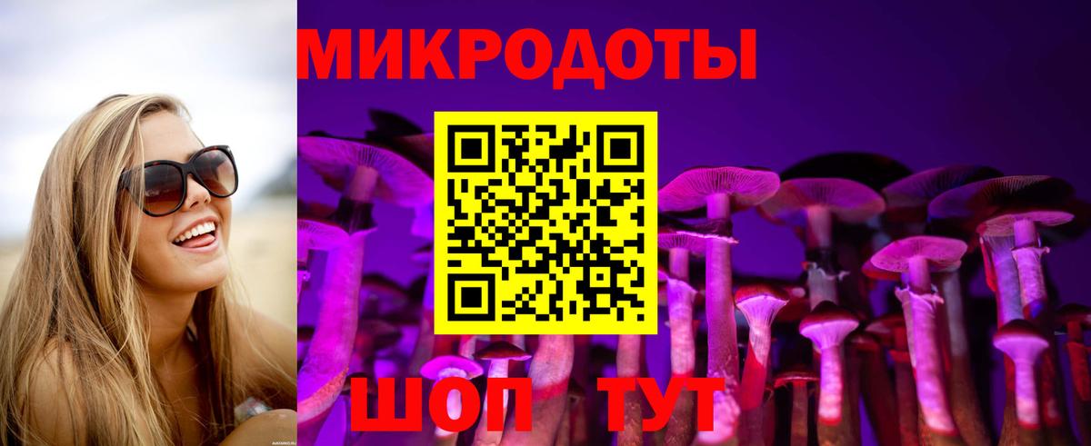 Псилоцибиновые грибы Cubensis Нефтекумск