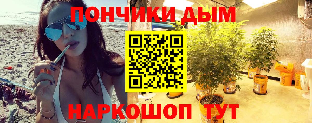 Бошки марихуана планчик Нефтекумск